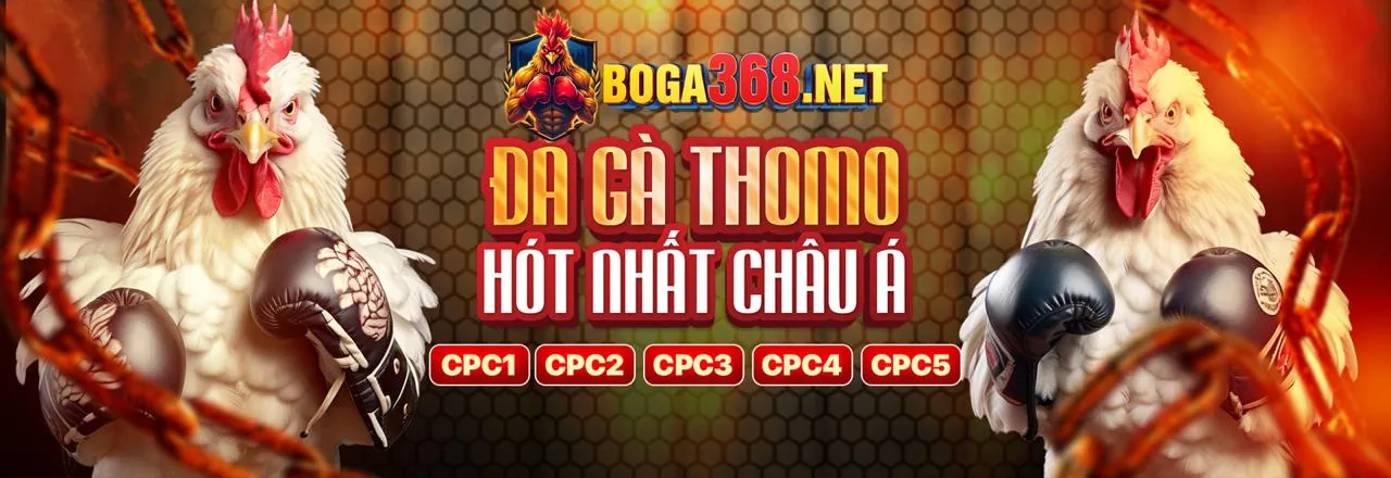 Đá Gà ACB888 Link Mới Nhất 2026