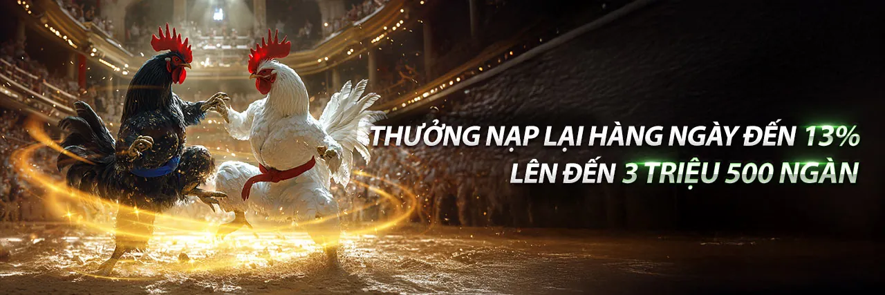 Các chương trình khuyến mãi đá gà độc quyền tại ACB888